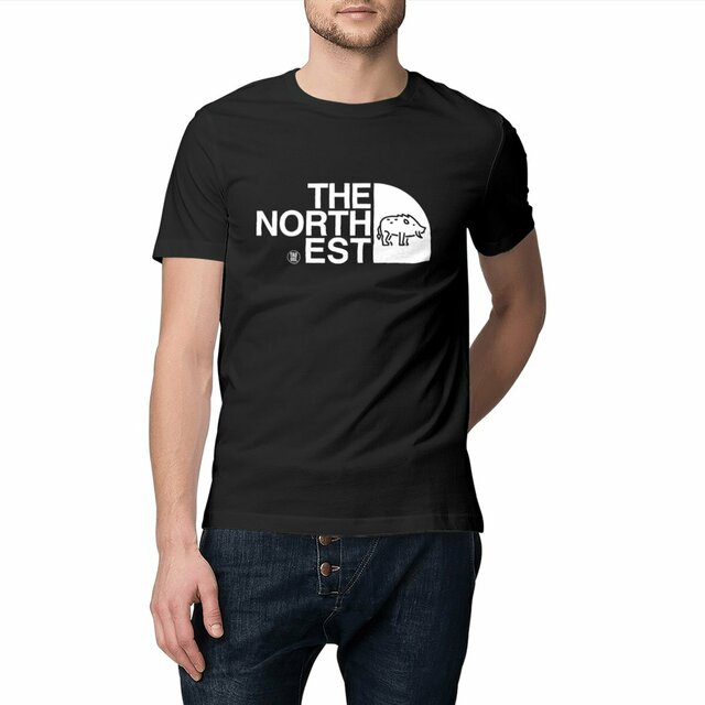 Image front Tshirt The North Est