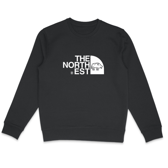 Image back Sweatshirt The North Est 