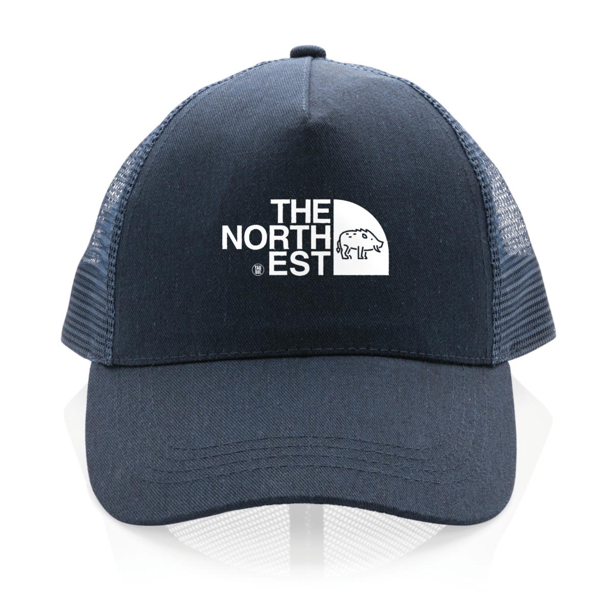 Image back Casquette The North Est