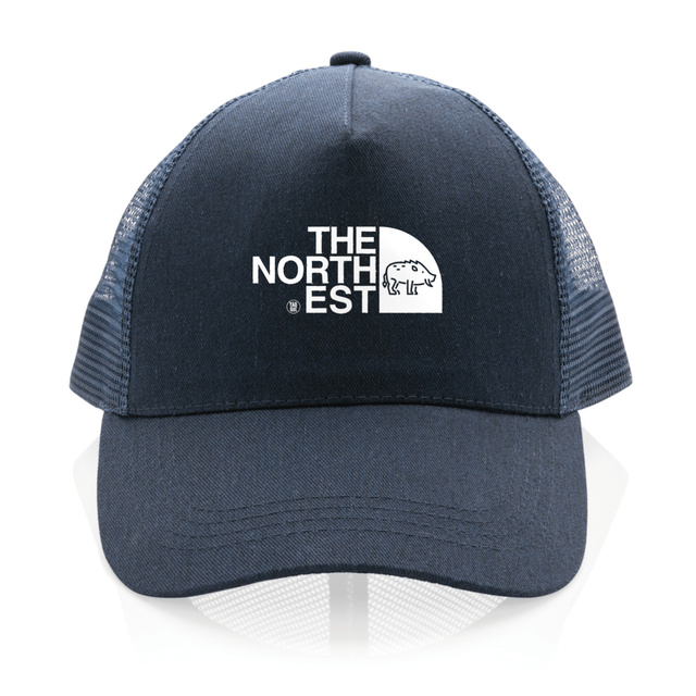Image back Casquette The North Est