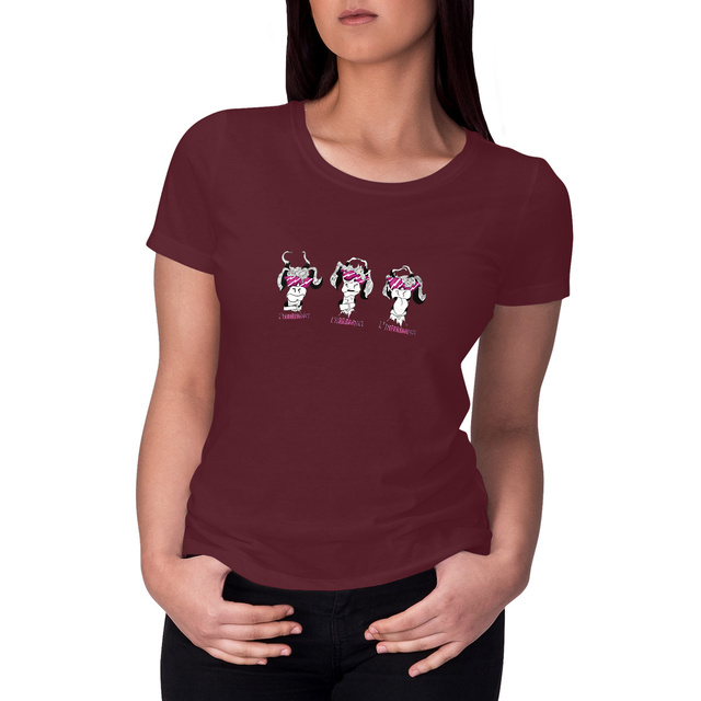 Image front L'IMPERTINANCE DE L'AULP