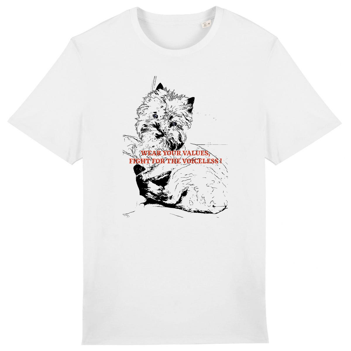 Chien regardsansvoix - Image