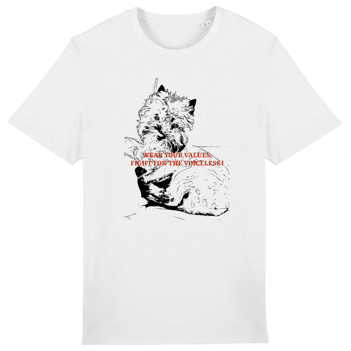 Chien regardsansvoix - Image