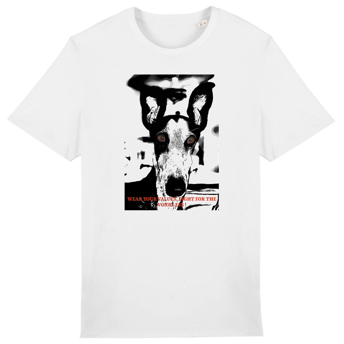 Galgo regardsansvoix - Image