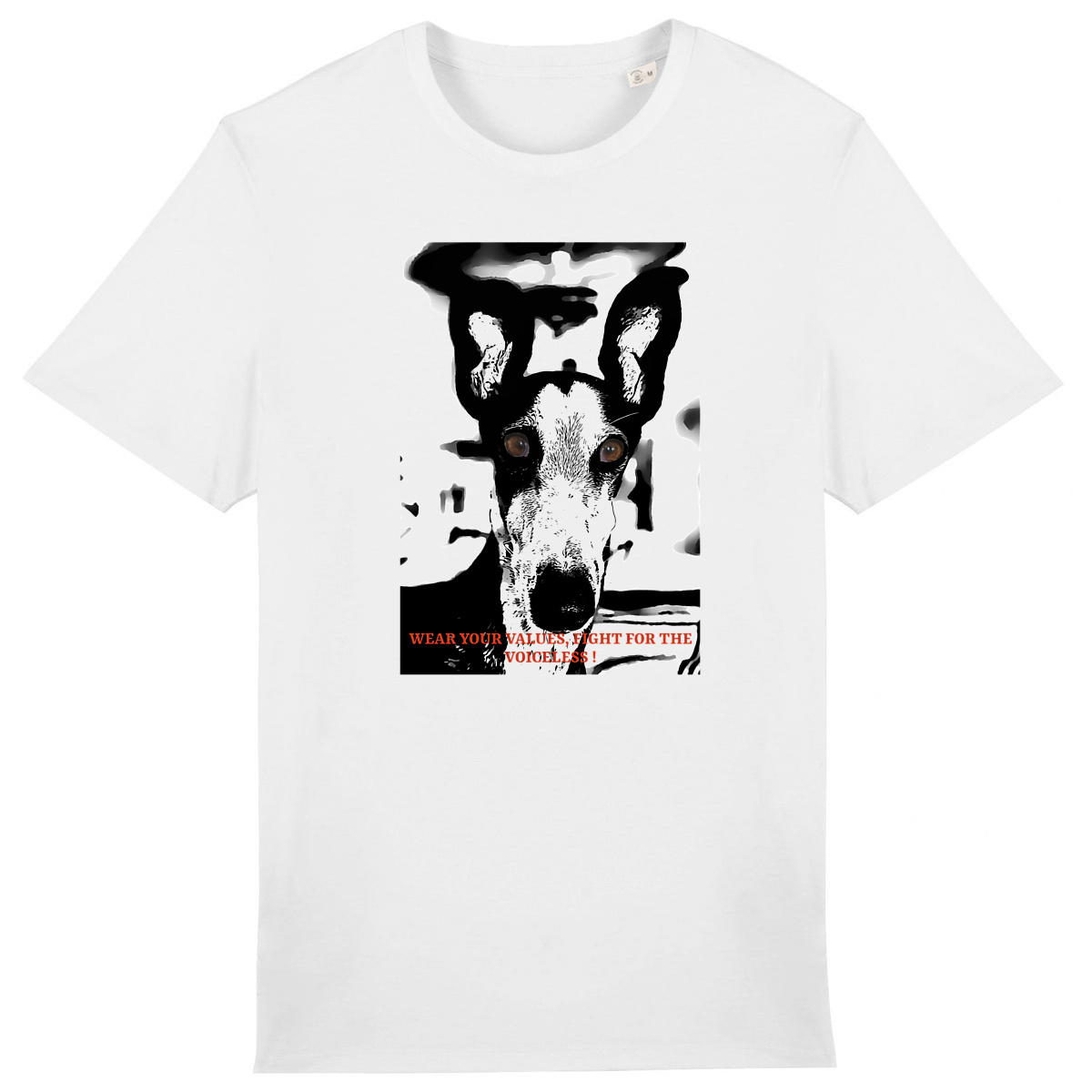 Galgo regardsansvoix - Image