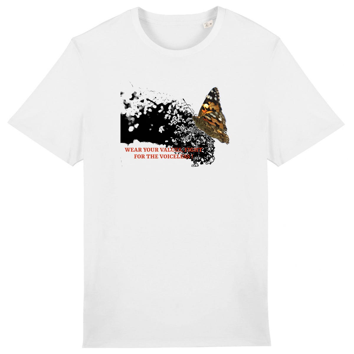 Papillon regardsansvoix - Image