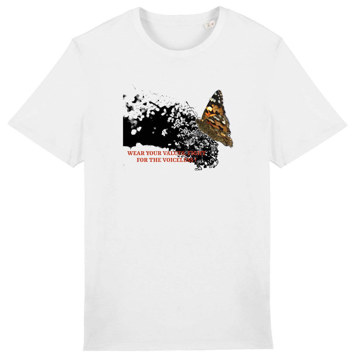 Papillon regardsansvoix - Image