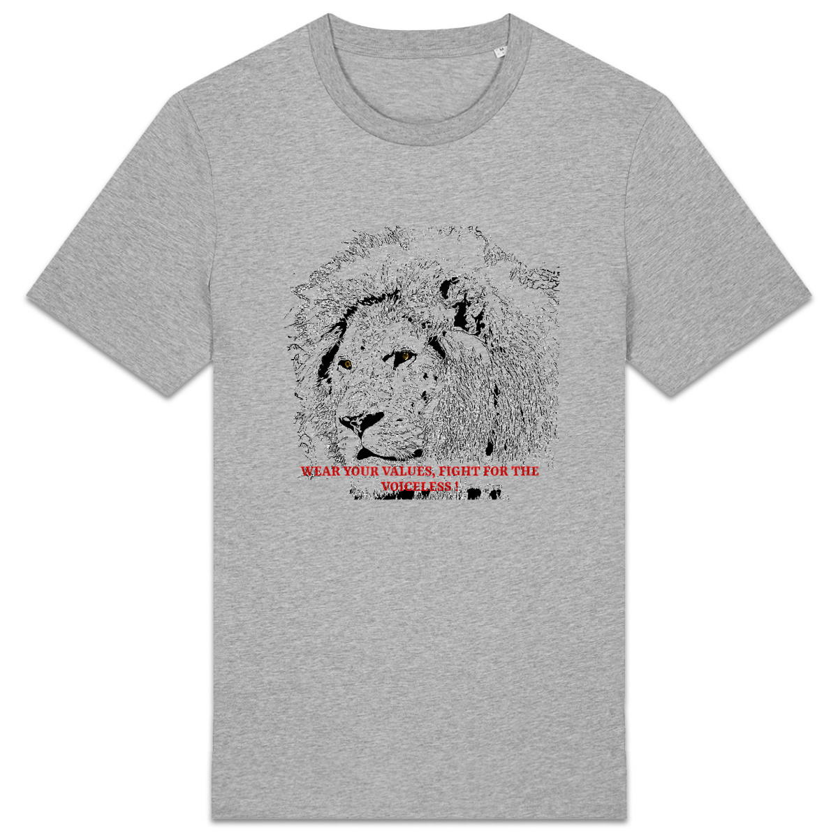Lion regardsansvoix - Image