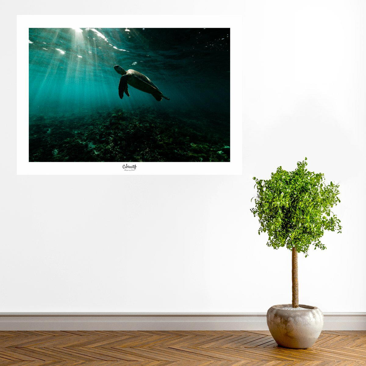 visual_A1(59,4x84,1cm)