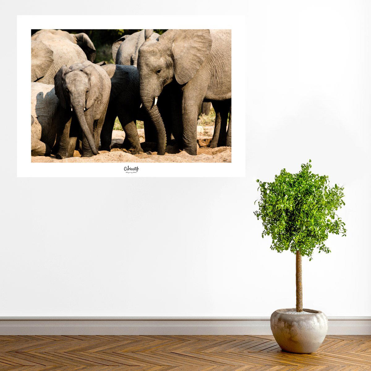 visual_A1(59,4x84,1cm)