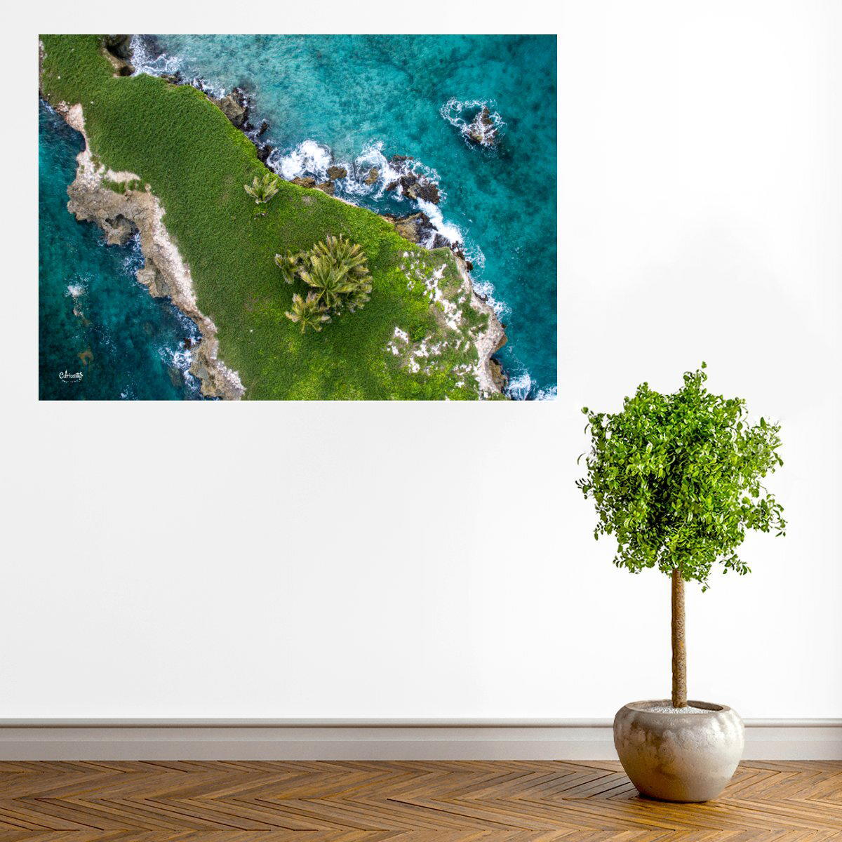 visual_A1(59,4x84,1cm)