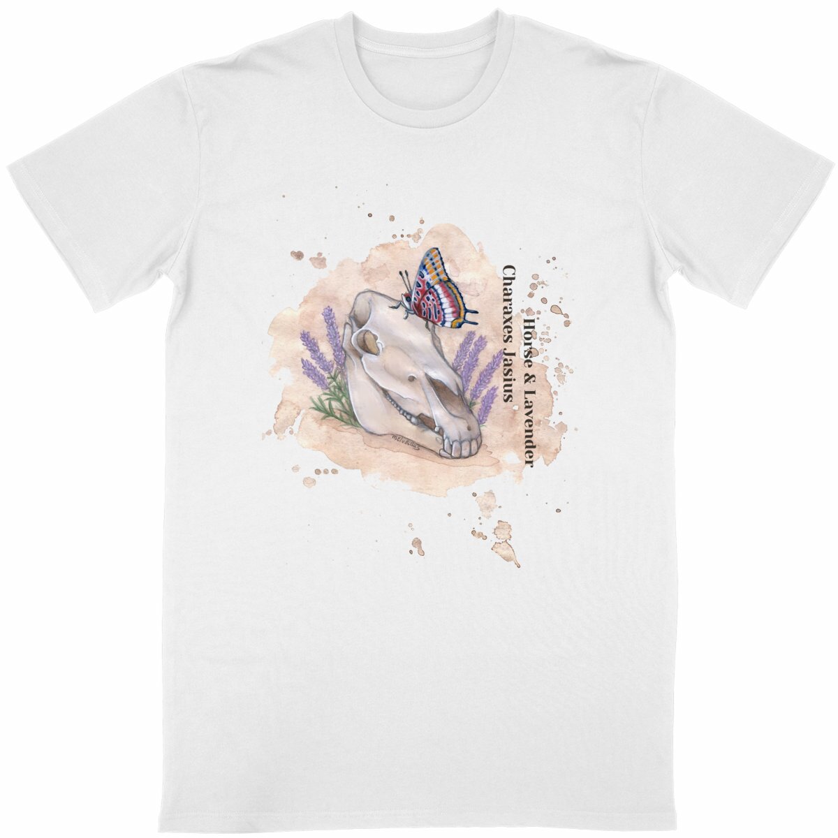 Image back Charaxes jasius, Horse and lavender