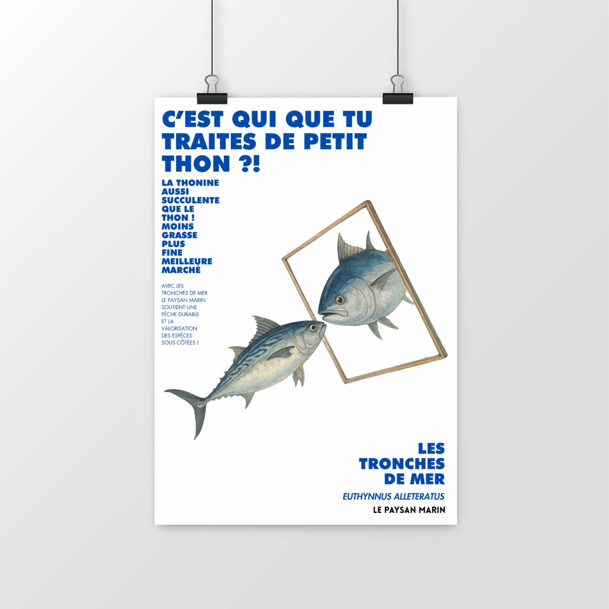 Image front Poster Petit thon