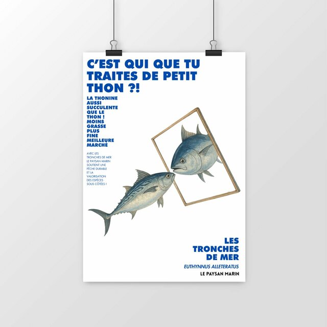 Image front Poster Petit thon