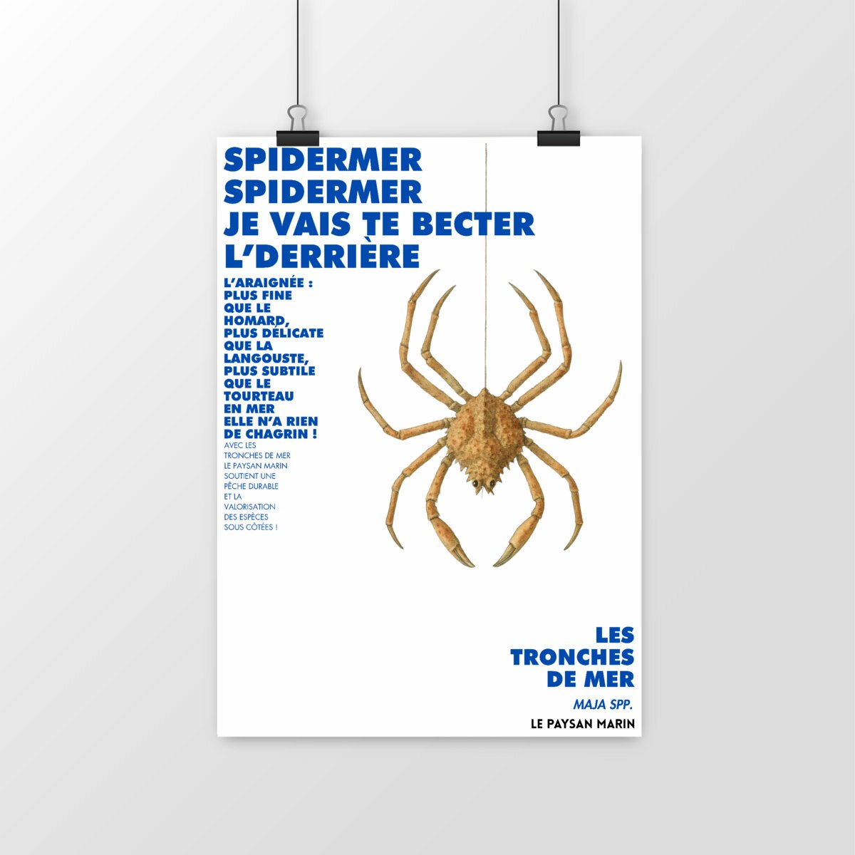 Image front Poster Spidermer