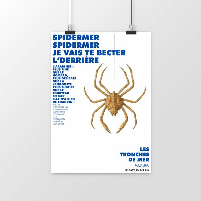 Image front Poster Spidermer