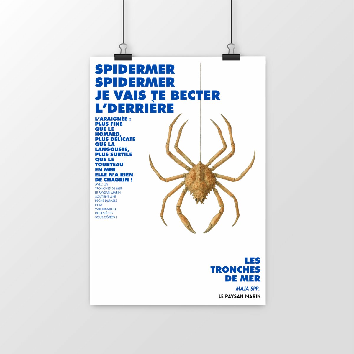 Image front Poster Spidermer