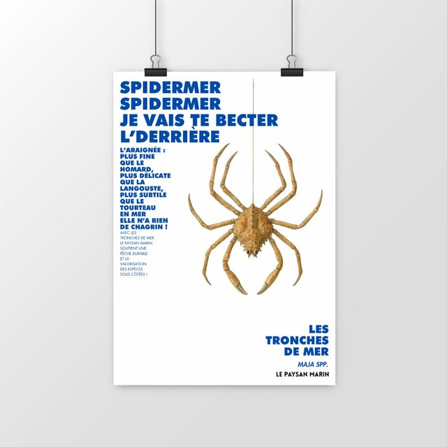 Image front Poster Spidermer