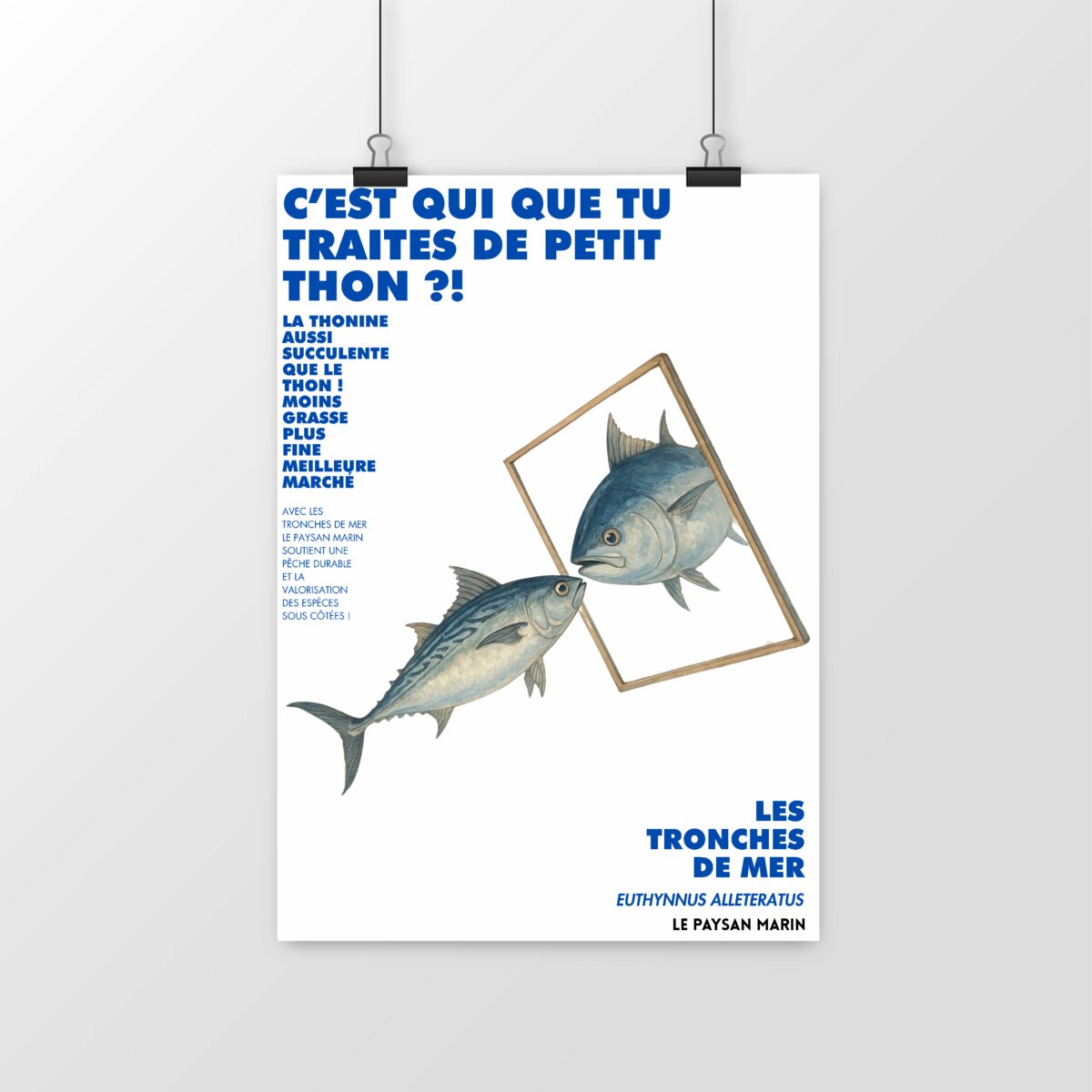 Image front Poster Petit Thon