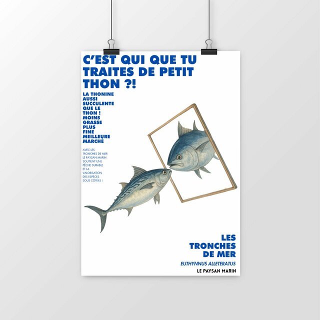 Image front Poster Petit Thon