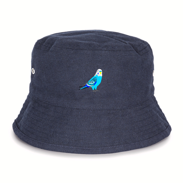 Image front Perruche bleue Bob