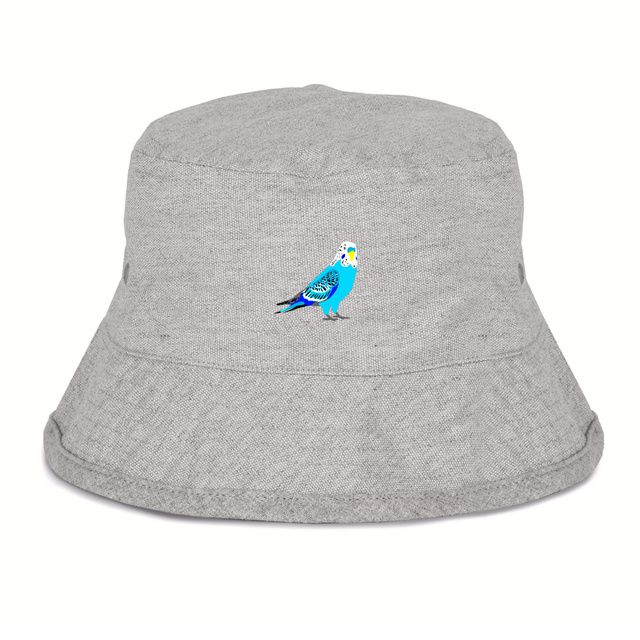 Image front Perruche bleue Bob