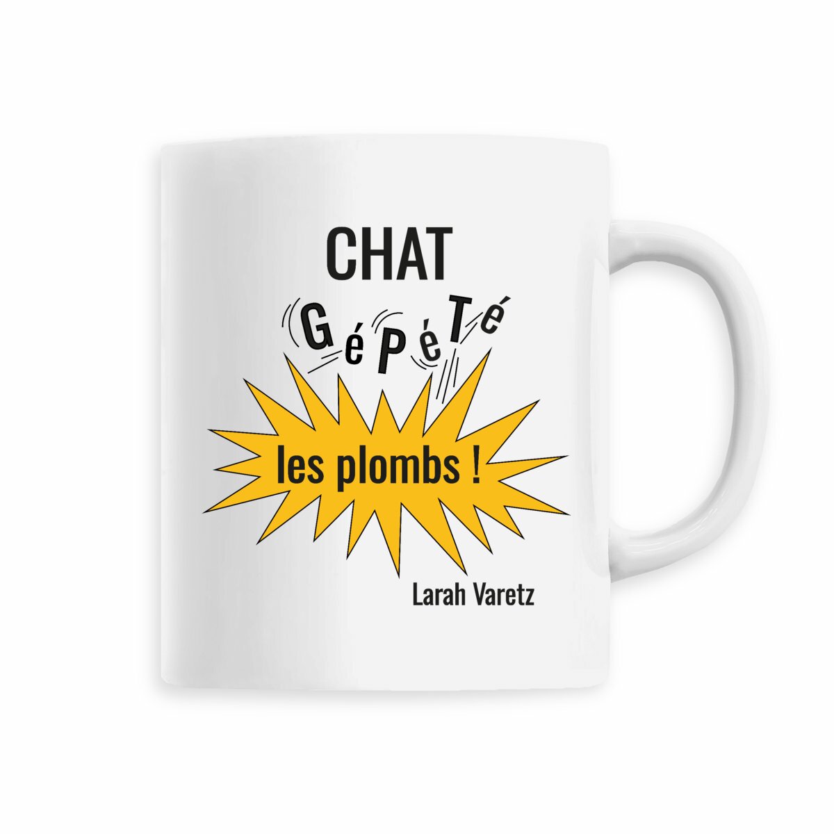 Image front CHAT GéPéTé les plombs !