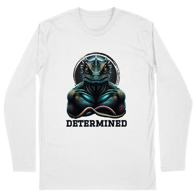 Image back Determined