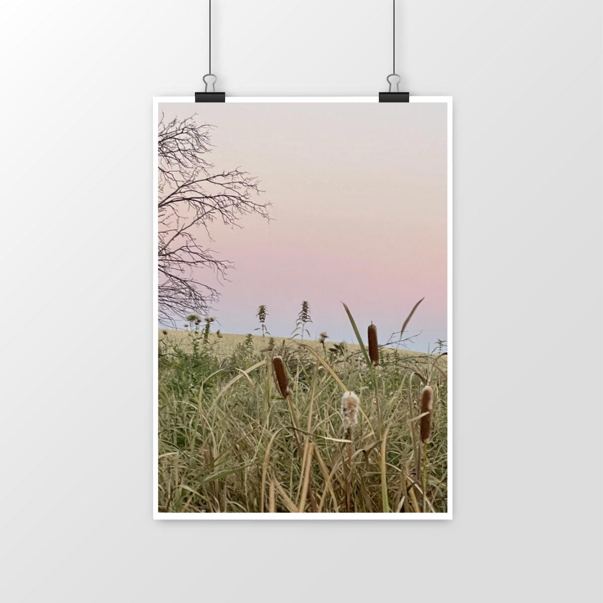 Cattail Sunset Scene