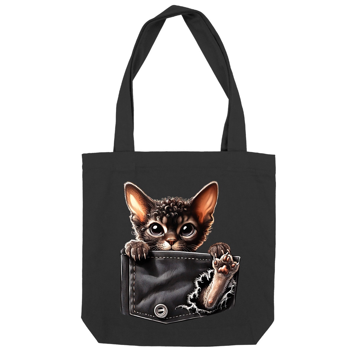 Image front Totebag Épais Recyclé - "Dans la poche" : Scottish Fold Curieux