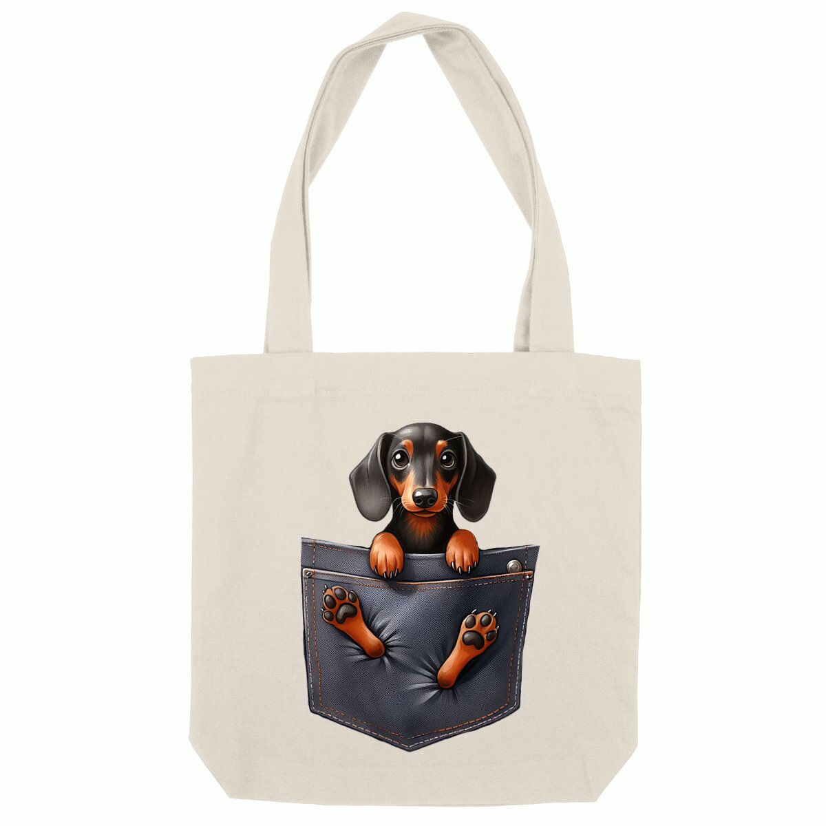 Image front Totebag Épais Recyclé - "Dans la poche" : Exotic Shorthair Coquin 
