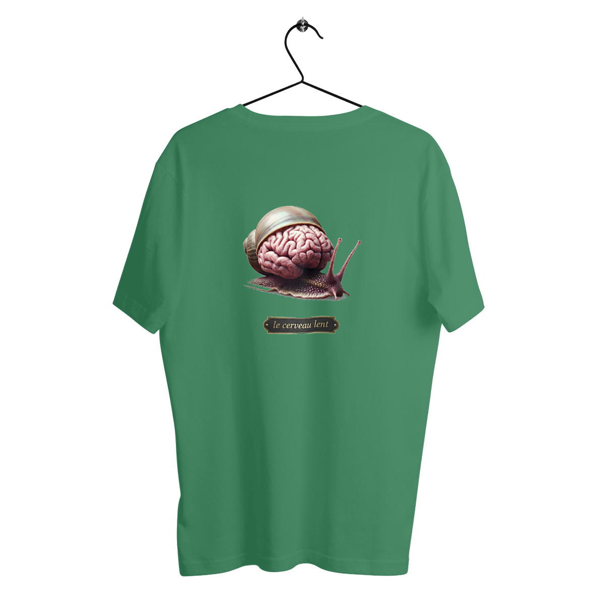 Image front Cerveau lent 1