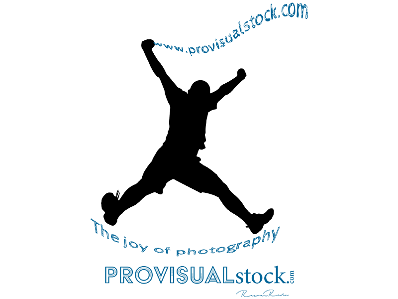 Provisualstock logo