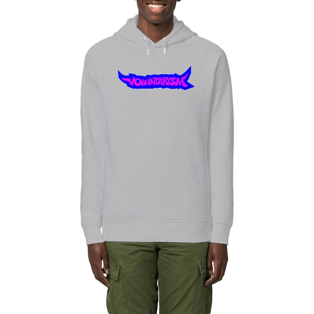 Voluntarism vs government