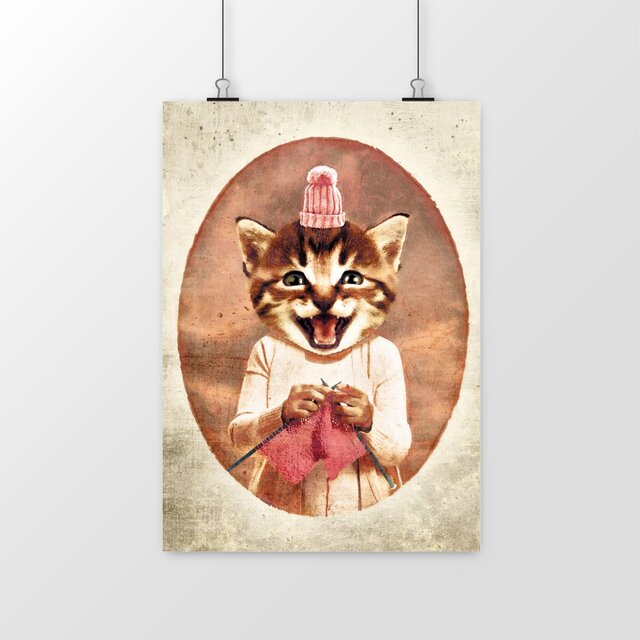 Image front Portrait Chat Tricot