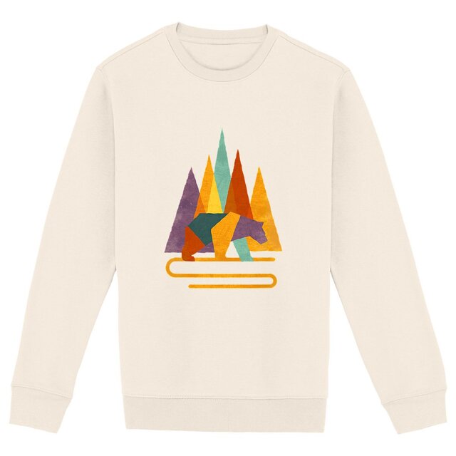 Image front Sweat-shirt Unisexe - Ours Géométrique Coloré