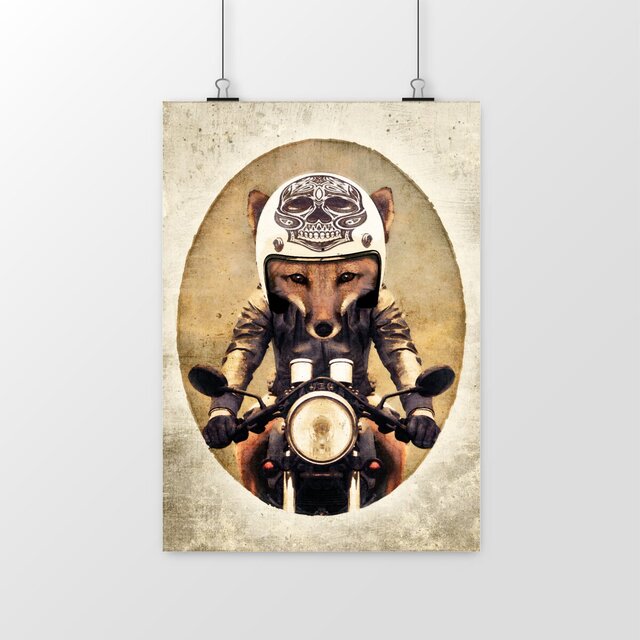 Image front Portrait Fox Biker