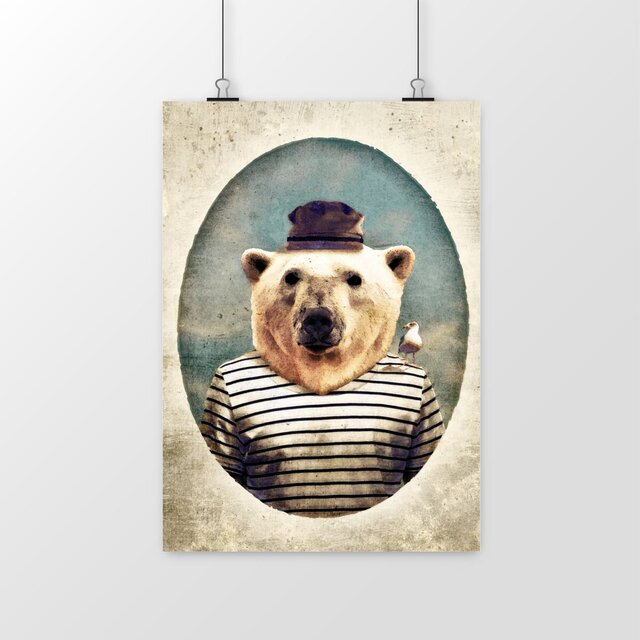 Image front Portrait Ours Blanc Marin