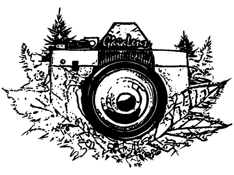Ga&iuml;aLens logo
