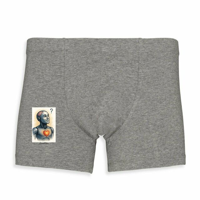 Image front Boxer Robot