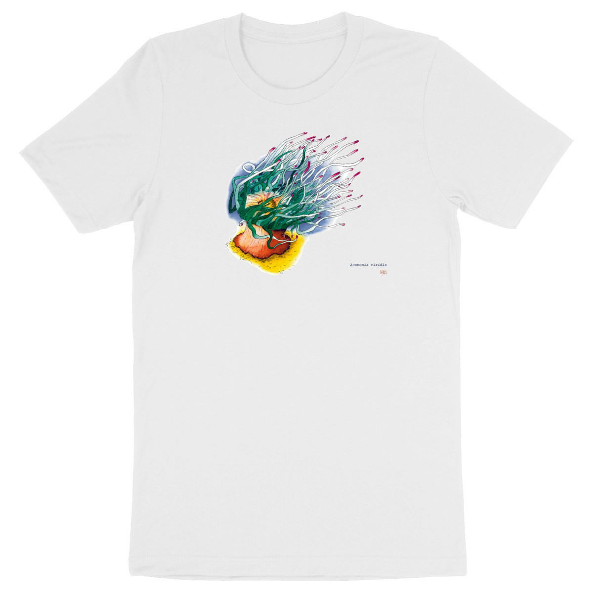 Image front Anemonia viridis, le T-Shirt unisexe adulte