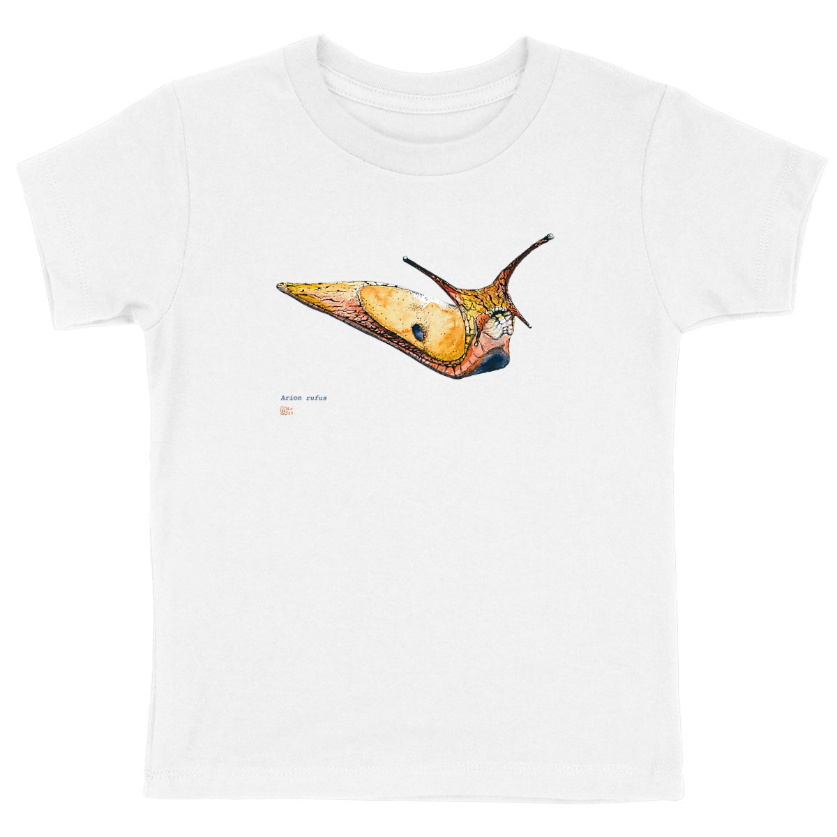Image front Arion rufus, le T-shirt unisexe enfant