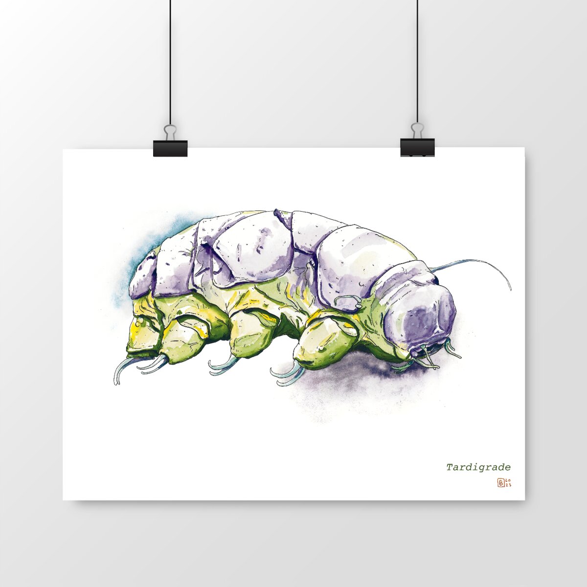 Image front Tardigrade, le poster