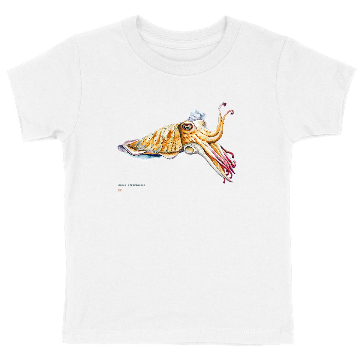 Image front Sepia officinalis, le T-Shirt enfant unisexe