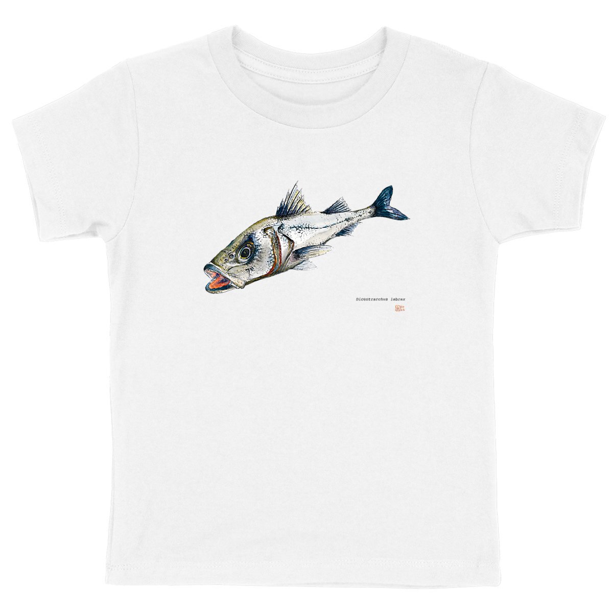 Image front Dicentrarchus labrax, le T-shirt enfant unisexe