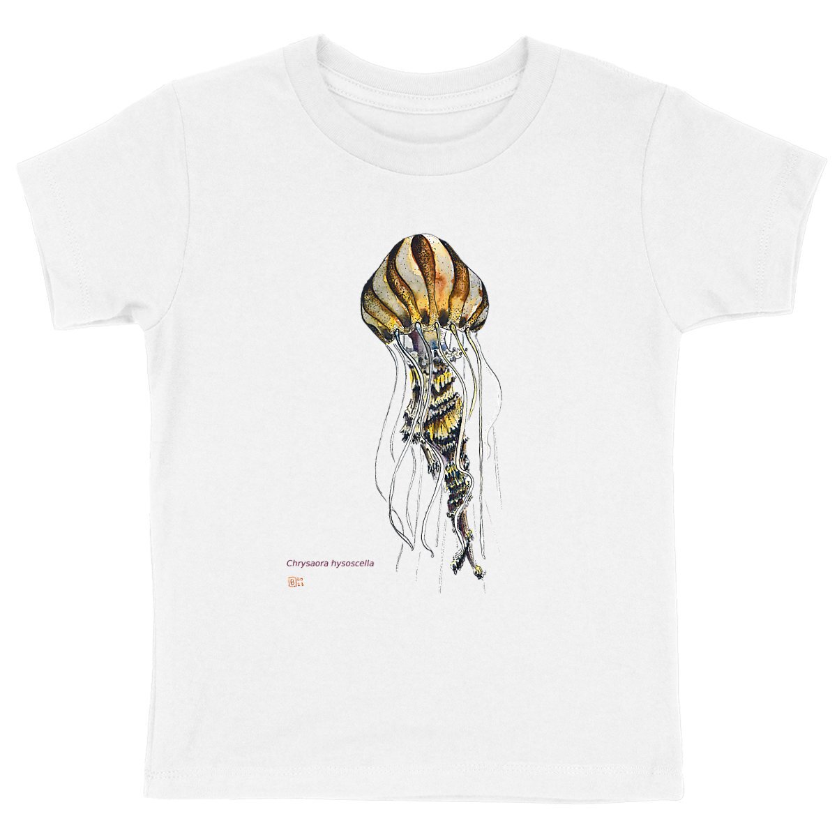 Image front Chrysaora hysoscella, le T-Shirt unisexe enfant