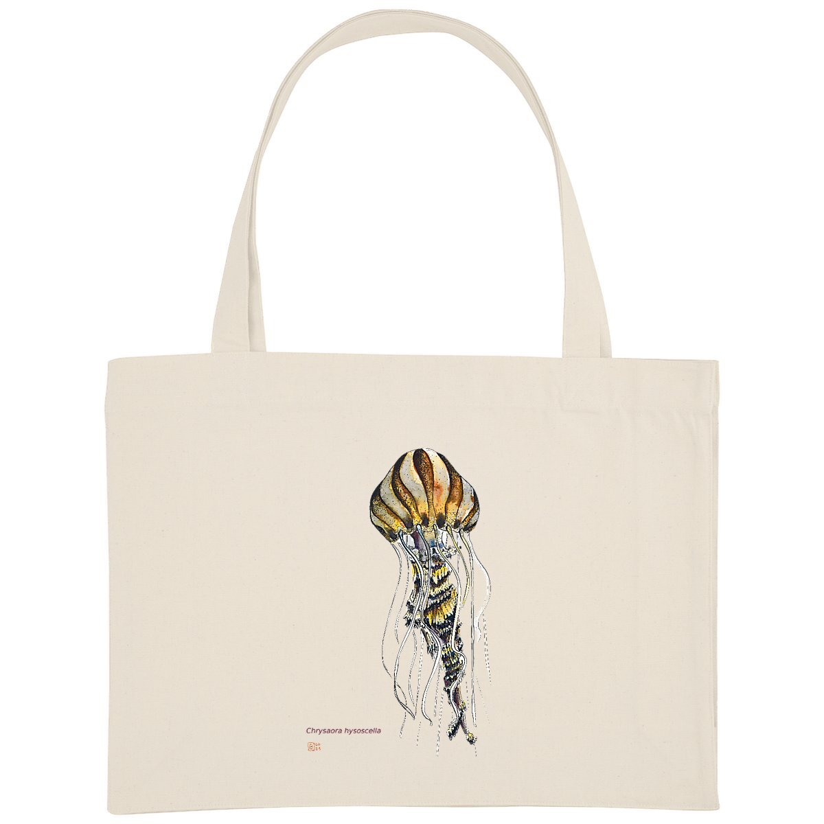 Image front Chrysaora hysoscella, le sac de courses