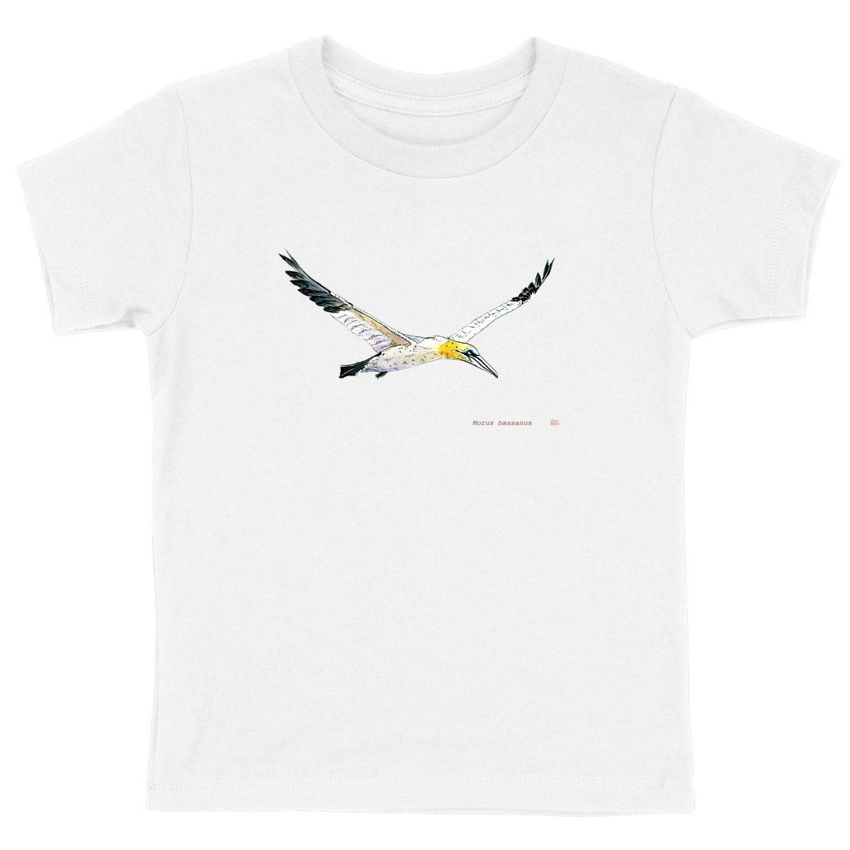 Image front Morus bassanus, le T-shirt enfant unisexe