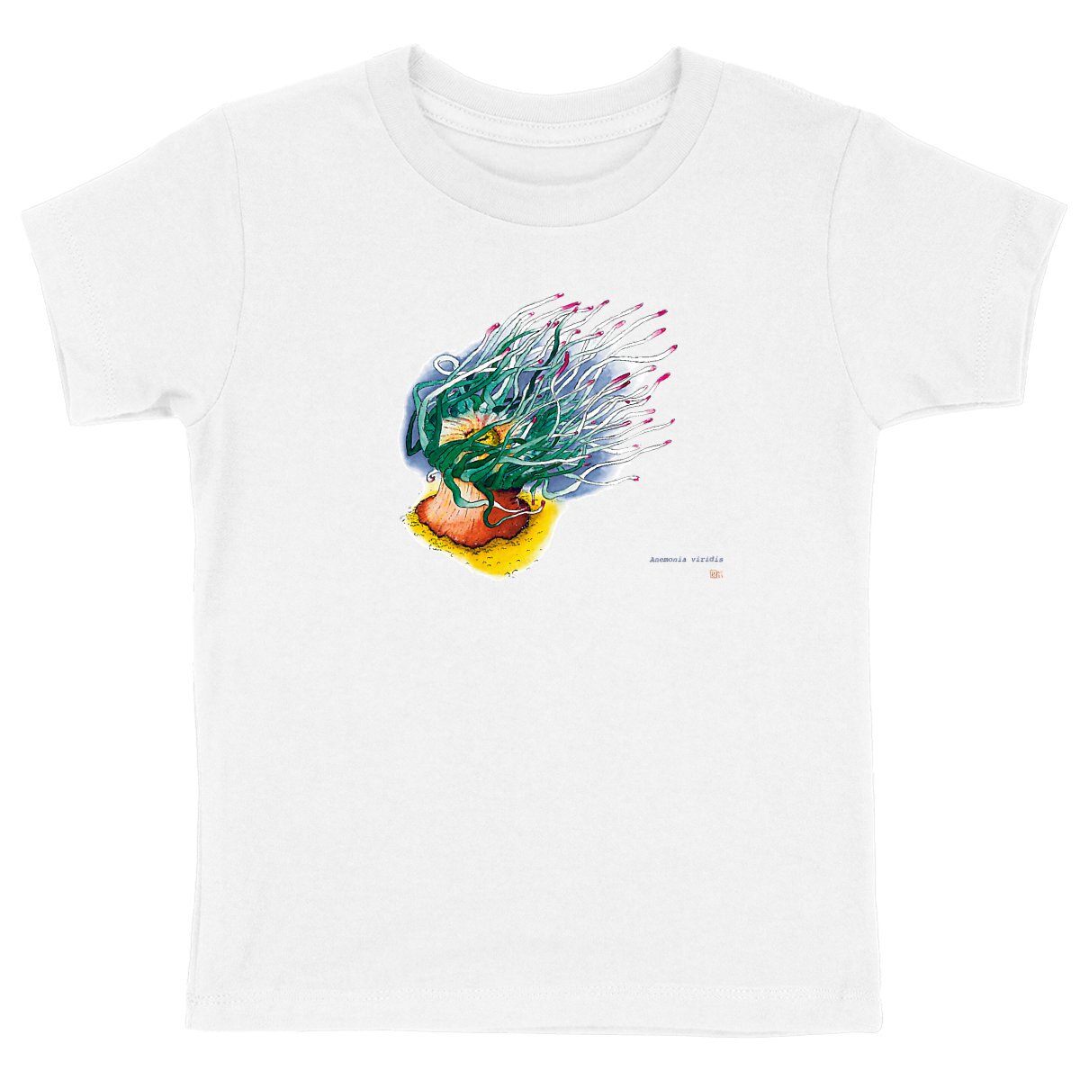 Image front Anemonia viridis, le T-Shirt unisexe enfant