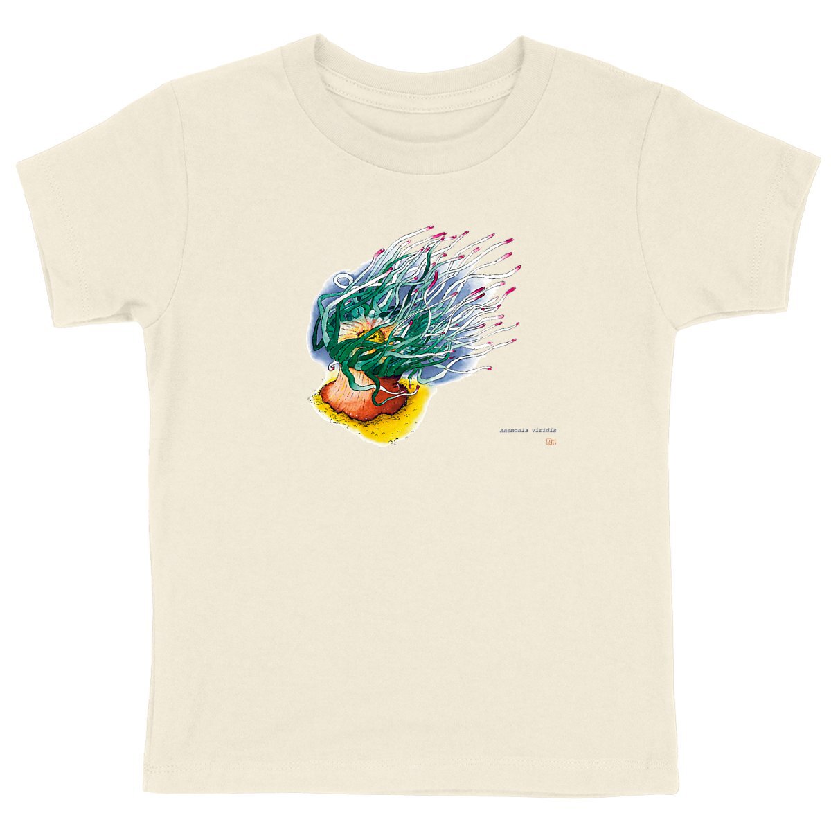 Image back Anemonia viridis, le T-Shirt unisexe enfant